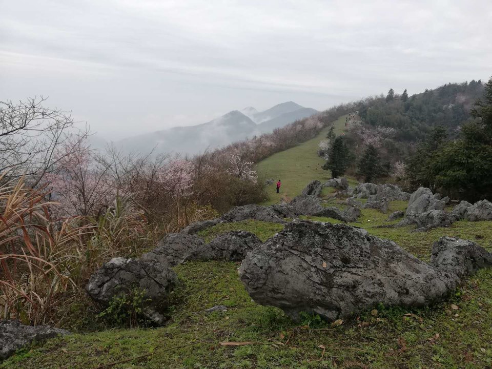 mS0spDCLnIlzUp7E_CvPuyq3Kv92p3Trg5SRcgPQNTSVKfX9Gp2d_ZShZ25ZW_U2