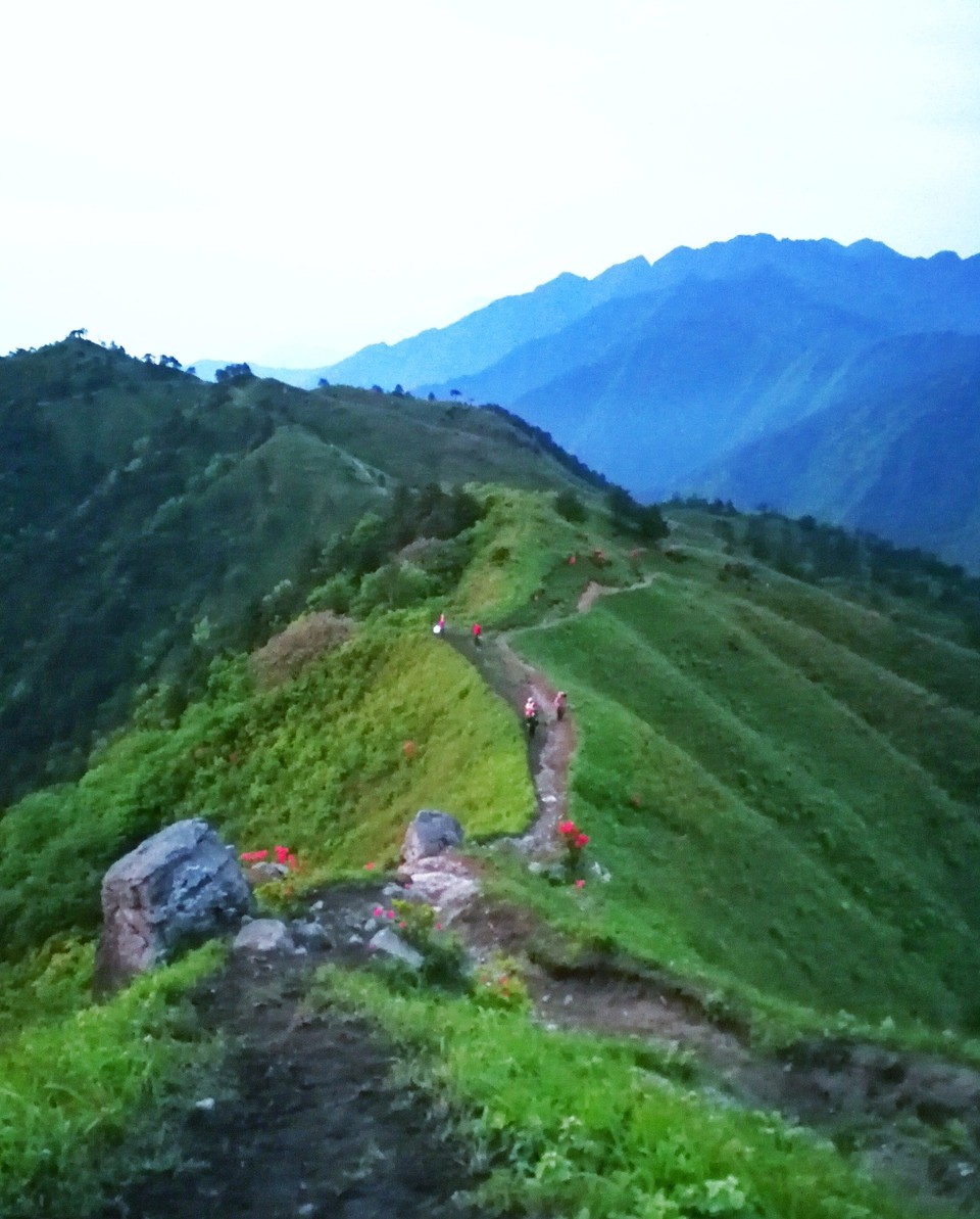 IMG_20170512_191219-01