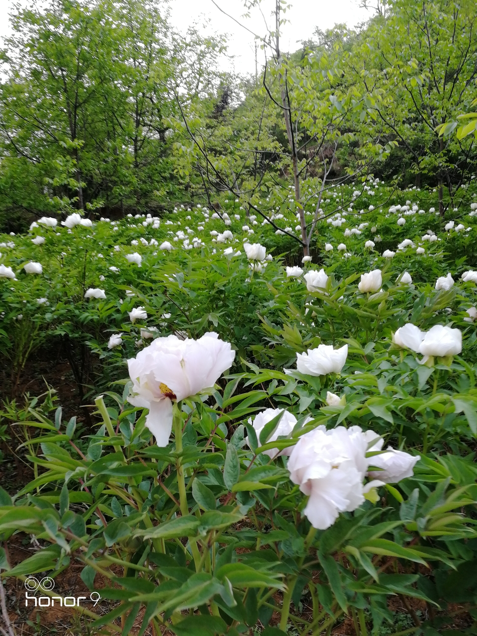 vD6hKUlnJU6kIc_kY3uD_ka9_ShQ2R2k9rAsB5kAHAl0_AGwW8kOWrmGfJk2KgU_