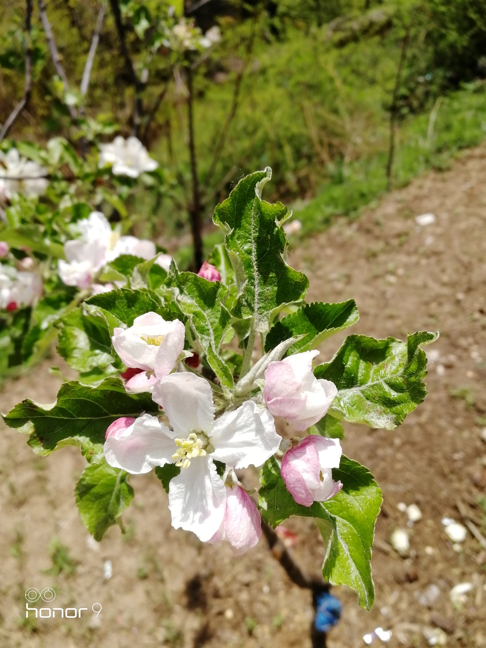 zRkY-J70cNRGHTZ7bbOnhmtoFIZxaHpPsawrn6JdDanP7-DA5OLhiE7d3iZ4StPi