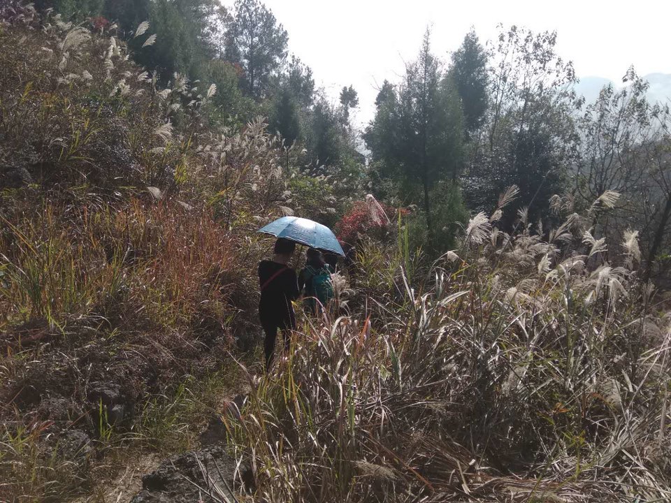 3LrCMojzLXXUmb9hZMtg8cJmSi9mJ7npKDclZ6SBFMb8S8q73jY2TWbdN-oDewFM