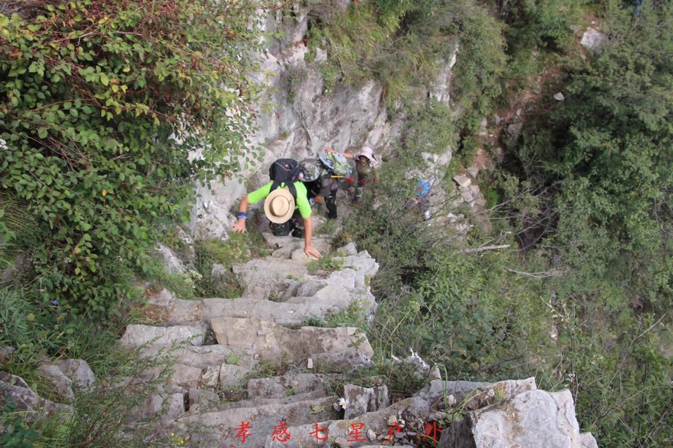 264B3514-7607-4012-A923-67C6787C0433-542-000000FE9D7D22D7_tmp