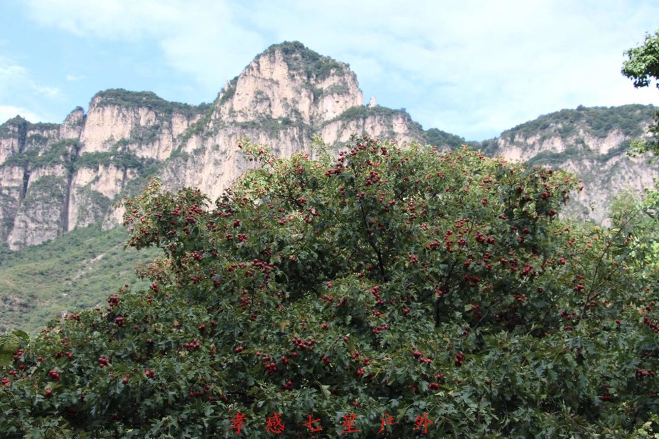 29AE4594-7450-4950-80C7-ABE4F2FAA948-542-000000FE34FC2098_tmp