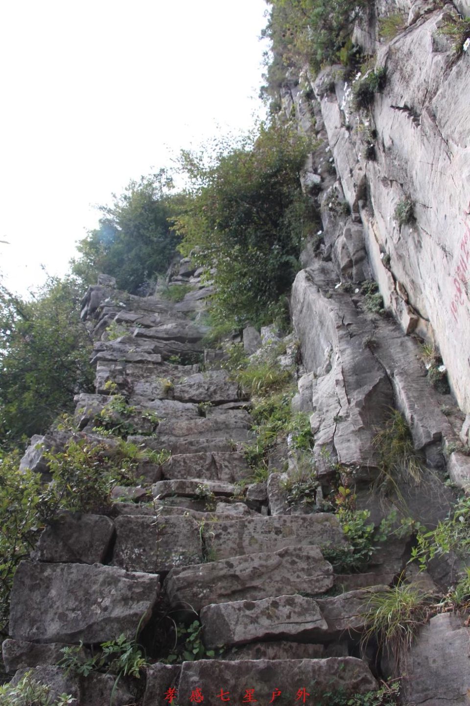 A3089ED4-A2FF-4527-8568-A7321BFA9B92-542-000000FEB601FE00_tmp