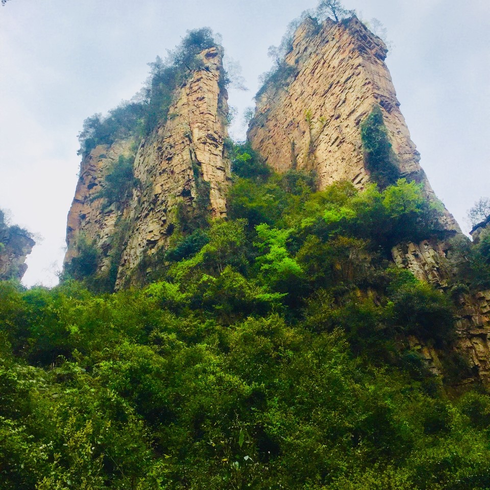 760C64D1-9BFB-4DD4-A1B6-A095C4535F45