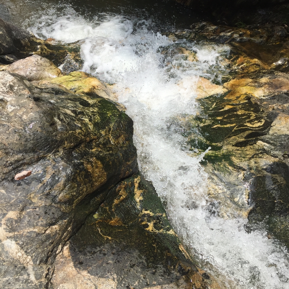 CDCE47DF-7136-4925-9FF6-07368A2ECCBF