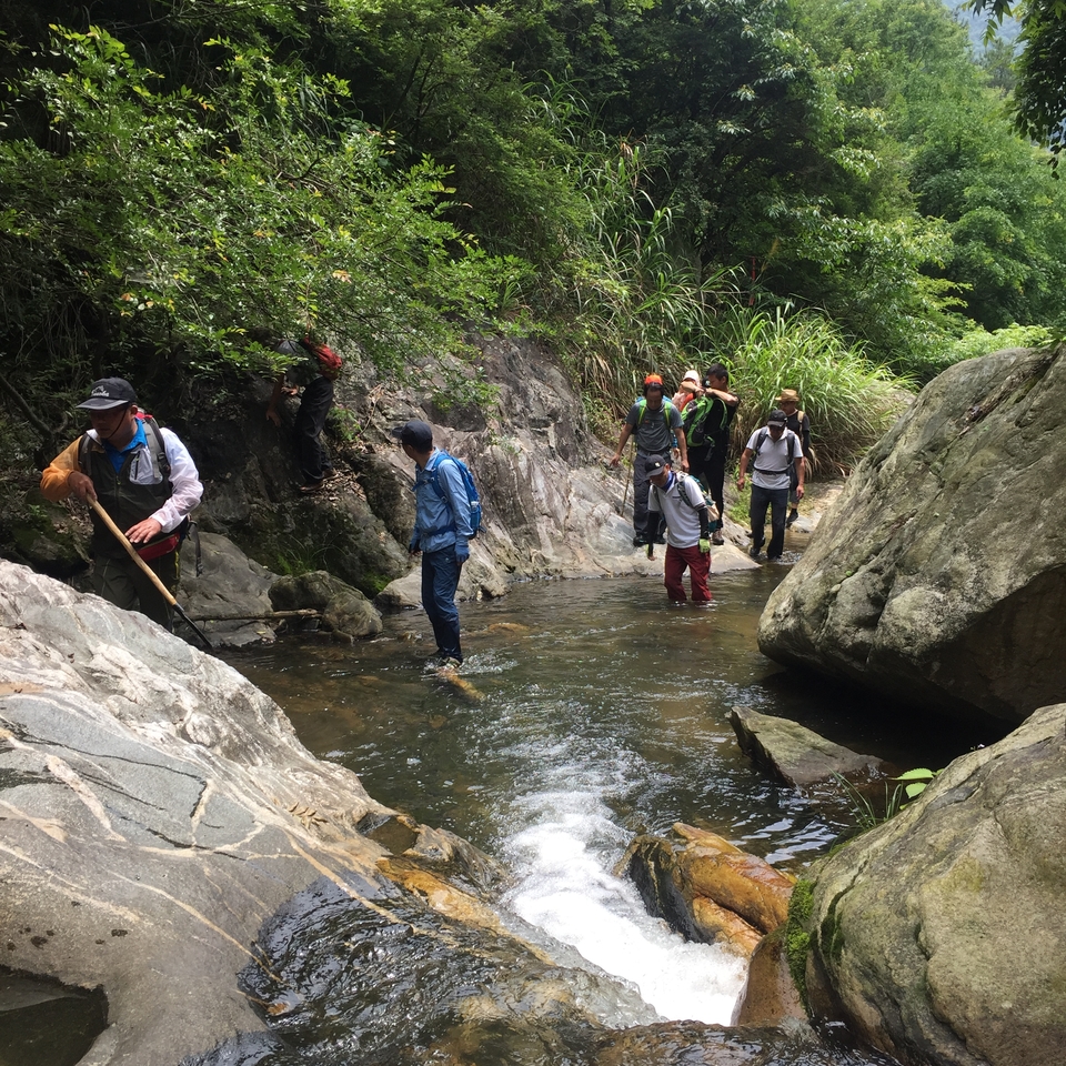 CF6B521E-CE78-427D-9B84-7286F3BBD10D