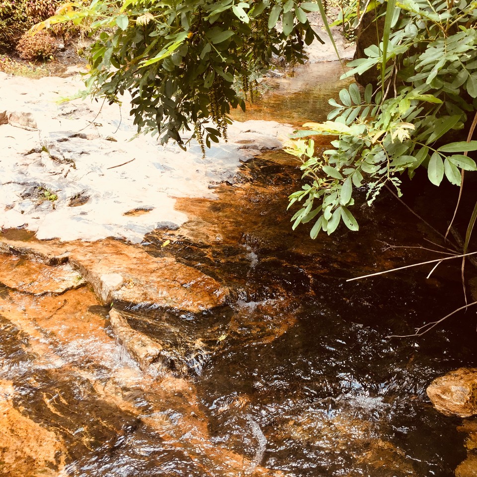 CD8F72DF-9523-47A0-A8A2-2E258E8C65D6