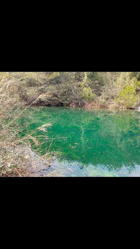 L53QGG9-h01oCkamQWHFdpy6q6xydgsk8PnFuKKlCIZEZAtFQBrLyaTxRD7OTKb3