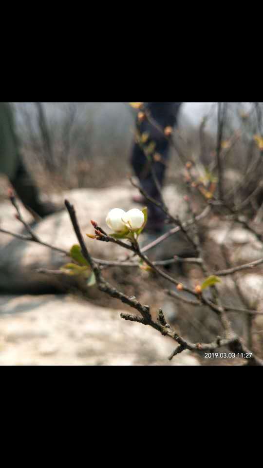 fU7VX-QC35raMvEX-DDI5bwIdUNk-y3Hm-xw2Q3FhF2FJJheZ1d5x8TFQpabMjm-