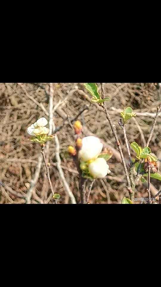 lPm5t3TE2CRISZQ56YFpCFN1_MqzA4MaIFmRV3Jwz0yQN0JAsl-kOQL4k52df4Rh