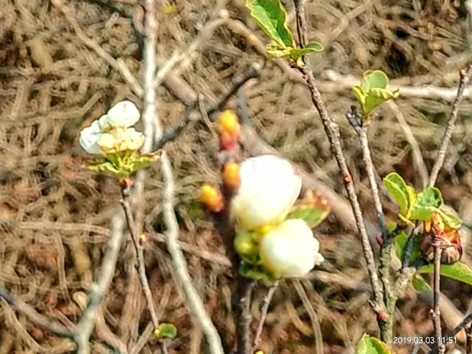 9gmOeUhRDFUU8smxF5ZwK6F6L8lNrKN8D6oegvfIhY-Udtqah2X3ggqpqTZ2aO1Q