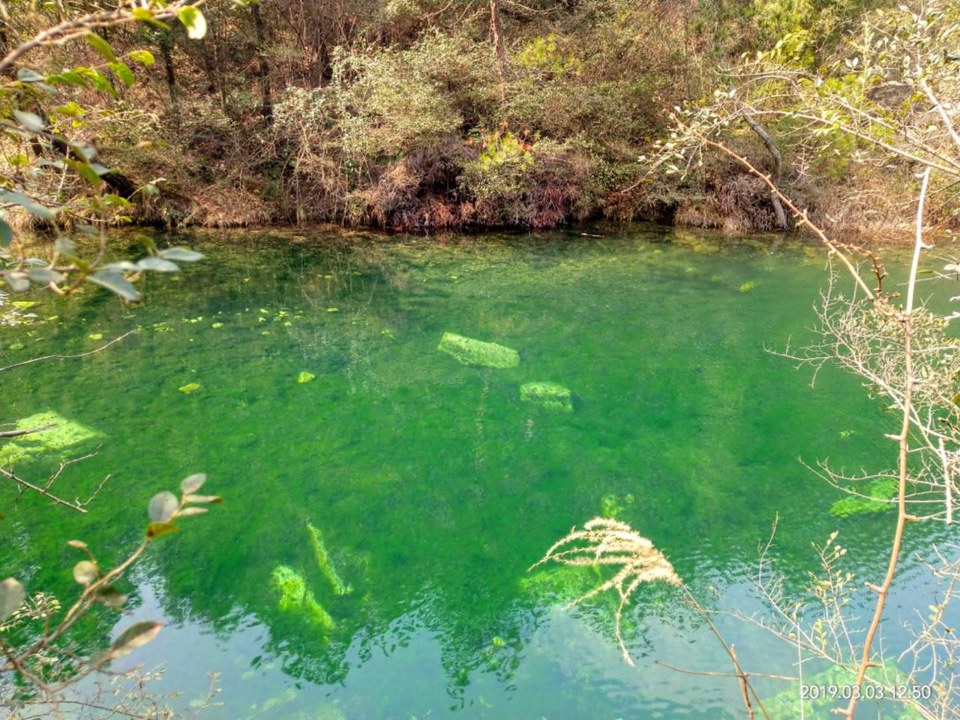 UNLxg-e-_rsSRdlrWCQXDgqQqQ4UTx0yqizdIaN1TF0kiF3jliT-k9xuGL6dfbRi