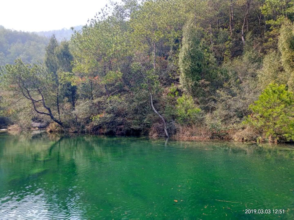 55rRHCKVn8hZdj_tCTQv4Gke5eLN6ZW1TBJ67AWTp18_15_cbg478kWhdhK2X8YV