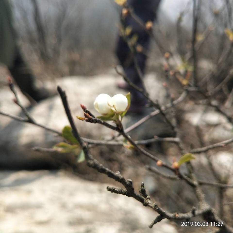 e2aCrY0JVStEXvSXm6-_D6Flbo7gb3dXDB1hTDAQxMPKbgJKZ7ZFV46hKAQetQGe