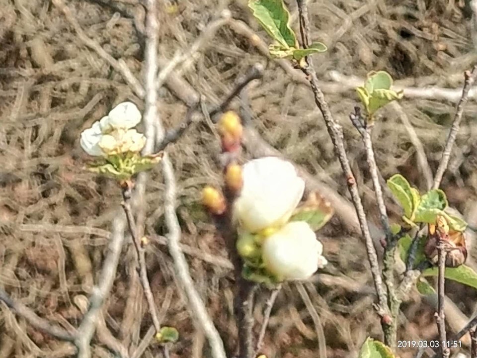 rKWfoYbv4Fwc0PPio0QDgiNI5JDO6iqB7o9IUJvYKqW4krB3eUW0reSByNf__TbB