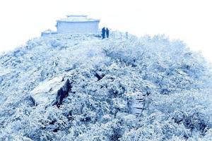 下雪啦！七星17号带你去看三潭的雪景，要约的 速度占位置！！