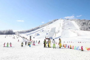 【滑雪直通车】神农架国际雪场2日游