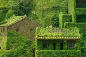 【被遗忘的最美无人村】3月25-31日自驾嵊山枸杞双岛，乌镇七日游