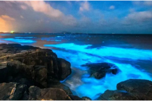 【五一平潭】少量余位丨遇见蓝眼泪 | 畲族风情•圣境大觉山•梦幻风车•纯白沙滩•清新环岛 | 轻奢海岛5日游