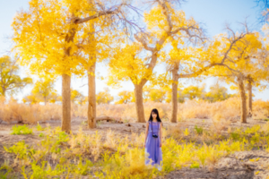 大巴车6天5晚《金秋额济纳旗》