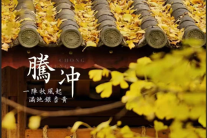 【魅力腾冲-国境线】11月23-12月1日温泉热海，童话银杏村，最不“芒”边境小城9日游-