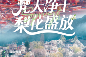 【川西大环线】0314出发！赏漫山梨花、听梵音回响 金川梨花+色达+四姑娘山双桥沟+中路藏寨+雅拉雪山+牛背山+海螺沟