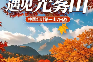 【秦巴秋色·七星自组】孝感出发 亚洲最大的红叶观赏区-光雾山+阆中古城+剑门关-翠云廊-蜀河古镇7日游