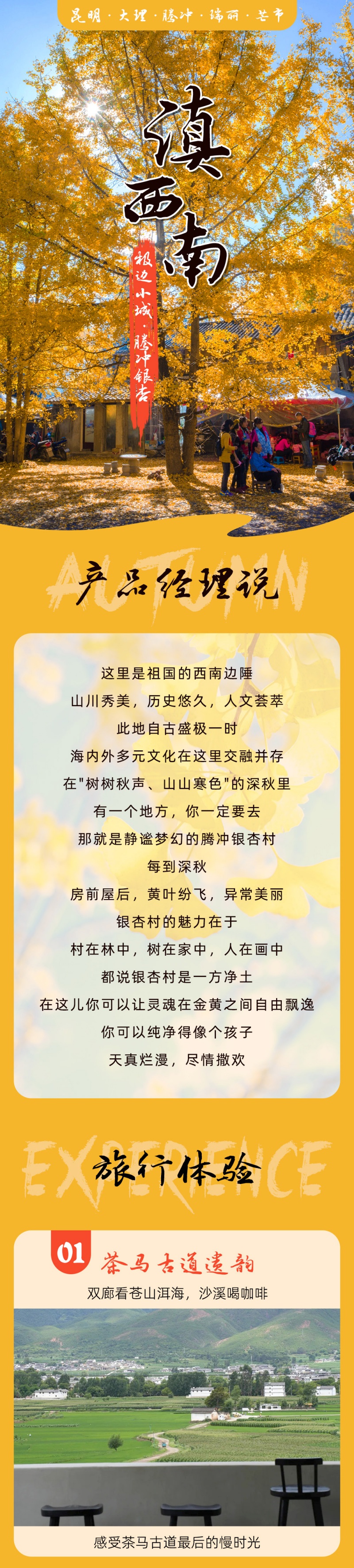 1-滇西南-腾冲银杏-亮点图-2026改1 1-滇西南-腾冲银杏-亮点图-2026改1