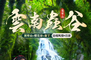 【独立团丨小众旅行】12月20  昆明-哀牢山-无量山樱花谷-沧源翁丁-千年崖画-龙摩爷-孟连-老达保-景迈山樱花-版