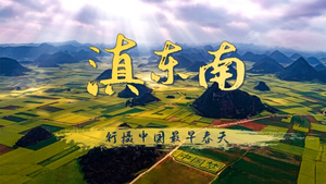 【春节•多彩云南】2月15-23日彩色大地，抚仙湖、建水古城、元阳梯田、普者黑，罗平油菜花、万峰林，龙宫9日