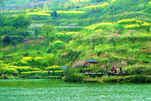 【休闲踏青】3.14号