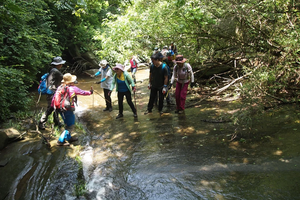 5月1号来这儿爬山_______小溪岭溯溪、徒步一日游