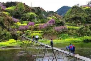 【休闲踏青】3月19号徒步桃花寨 登沼山观全景 漫步小婺源一日游