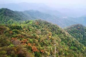 【11.20号户外自驾】一切正美，暖阳正好，一起去太平寨徒步+赏千年银杏一日行