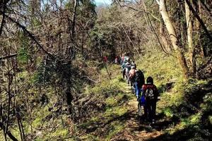 【户外休闲徒步】2.16号节后甩肉行——武汉“小神龙架”森林穿越一日行