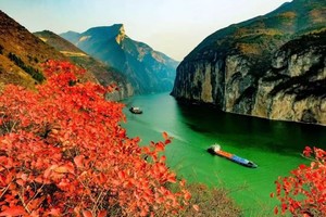 12.5日下午-7日游玩长江三峡之巅+白帝城+瞿塘峡+巫山文峰观赏红叶三日游