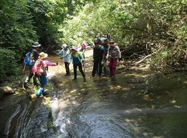 【户外攀爬】3.15日 • 孝昌小溪岭 | 探秘未曝光的翡翠峡谷一日游