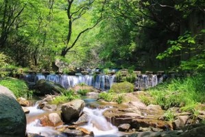 【周日溯溪】5.24号天台山爱河风情峡谷 清凉1日游（含午餐）