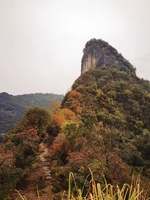 【活动召集】11月8—9号探秘咬草岩古官道+登鸡公岩、邂逅多彩秋色、采蜜柚二日游活动