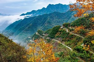 【自驾】 2025年11月19日-23日自驾金秋皖南318+黄山+徽州古城+阳产小楼+新安江五日游