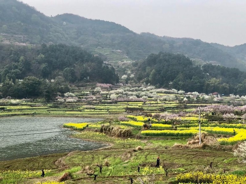 繁花美景何处寻 醉美保安沼山村