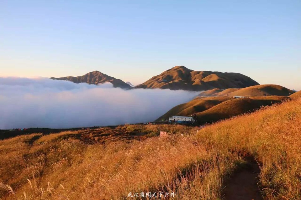 mmexport1475676464826