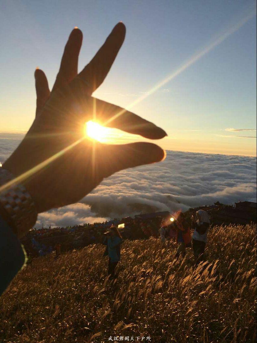 mmexport1475587299753