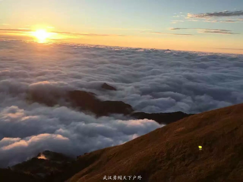 mmexport1475675486242