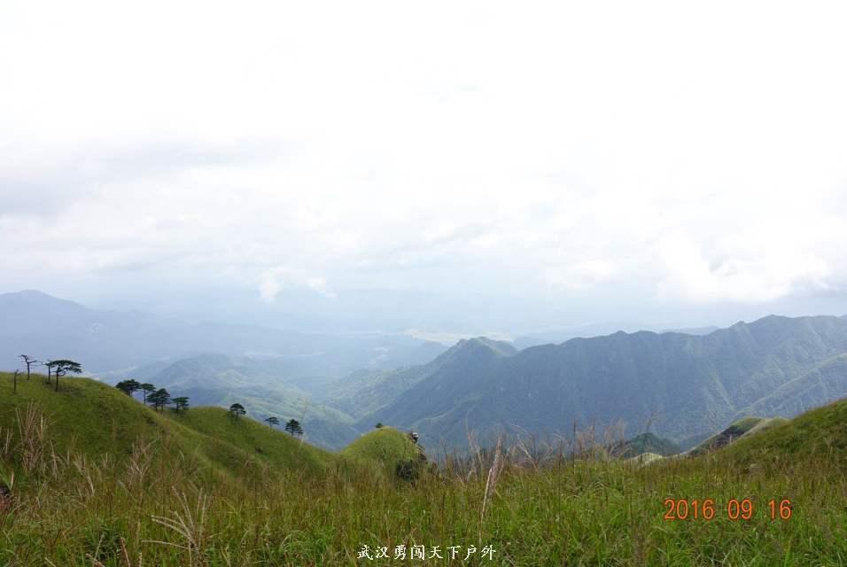 1d1dcc2e090eb94c749d6e2d0ee31d17_big