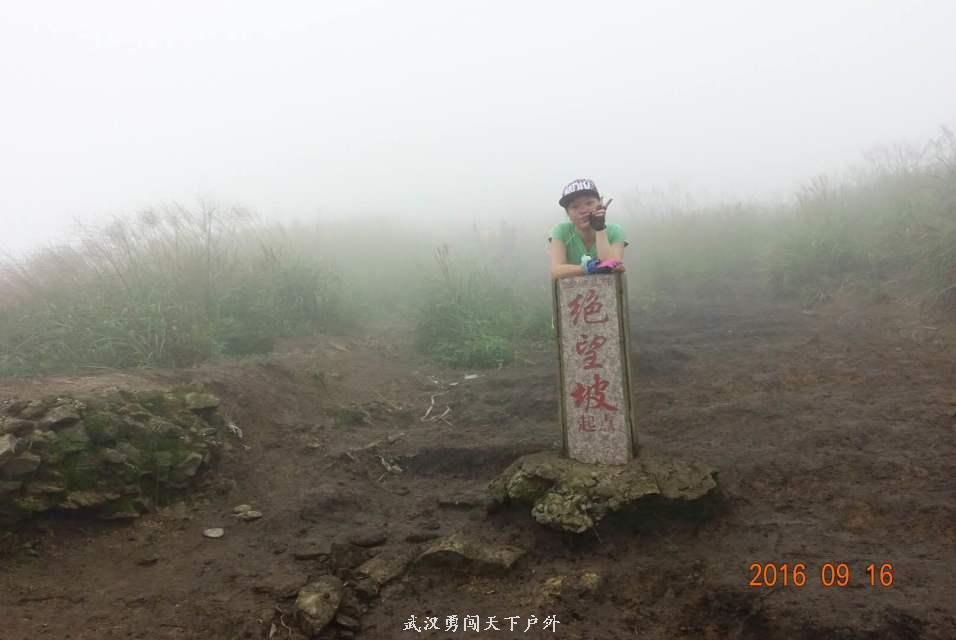 5a03615152a9d7e5a2bcc40805060537_big