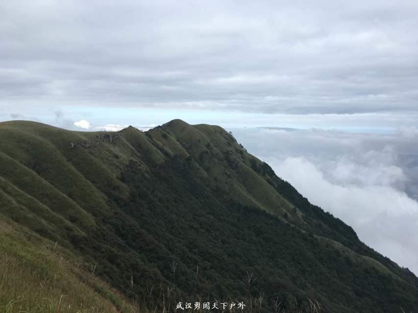 253acddb3f198ba63be746fea48611fb_big