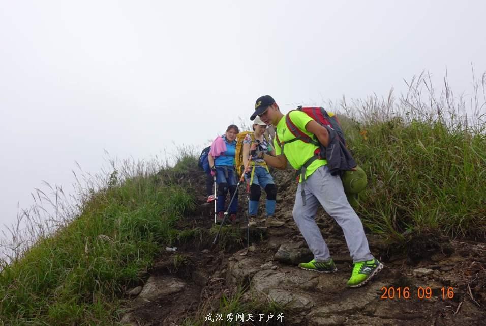 69384dfc64dea1342fb9133ad2a8c922_big