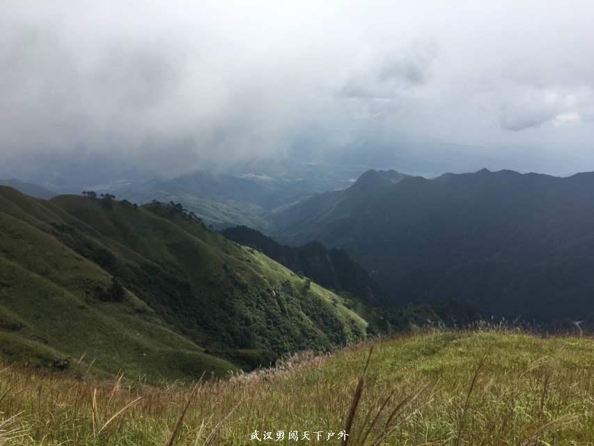 a205c6700ce6248bd37924a1204fccb1_big